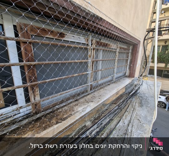 התקנת רשת שקופה נגד יונים על חלון חיצוני